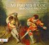 Mi palpita il cor: Baroque Passions
